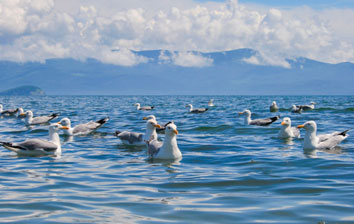 Тур «Байкал за три дня»