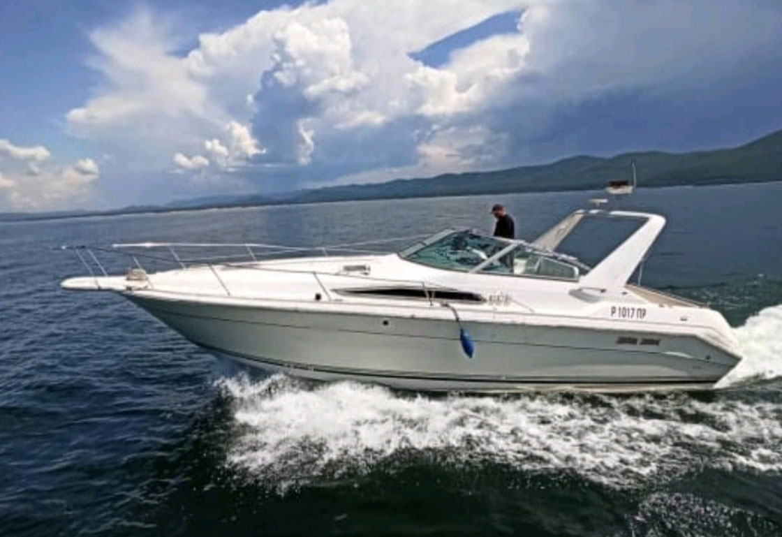 Катер «Sea Ray 310 Stalker»