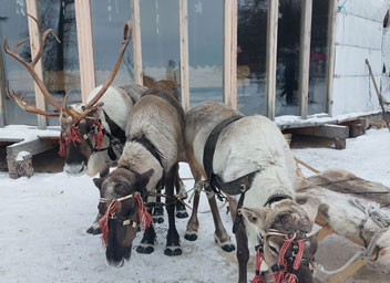 Экскурсия на Байкал